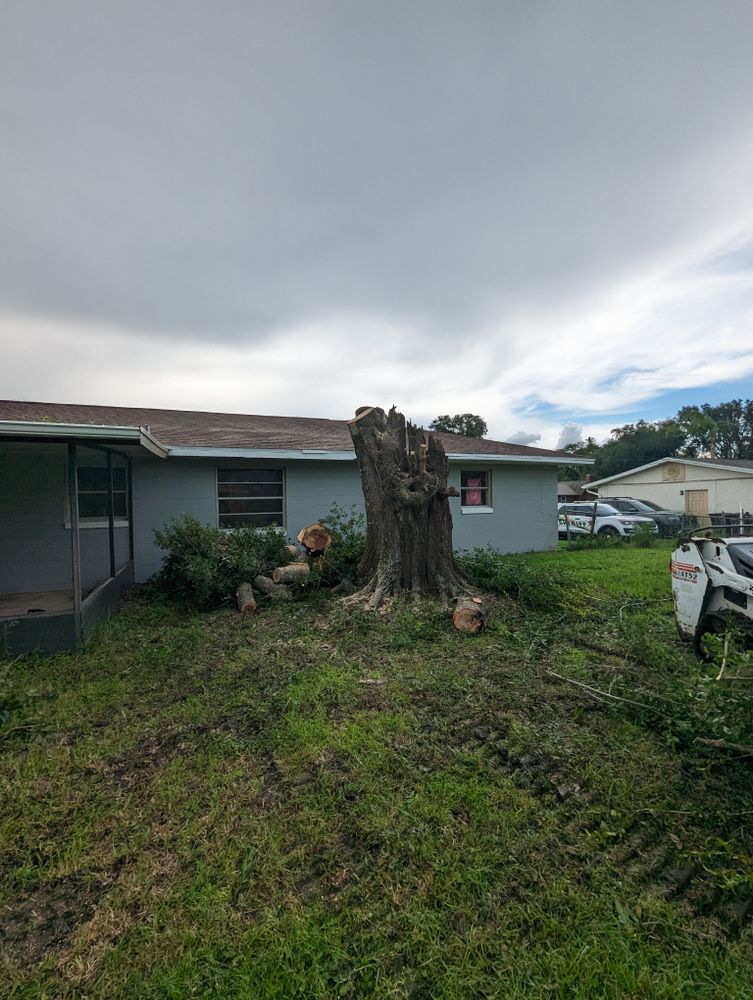 All Photos for Regal Tree Service and Stump Grinding in Wauchula, FL