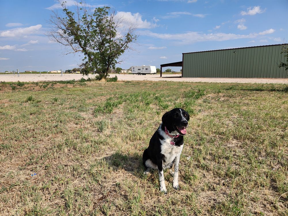 All Photos for Prairie Land Properties LLC in Lubbock, TX