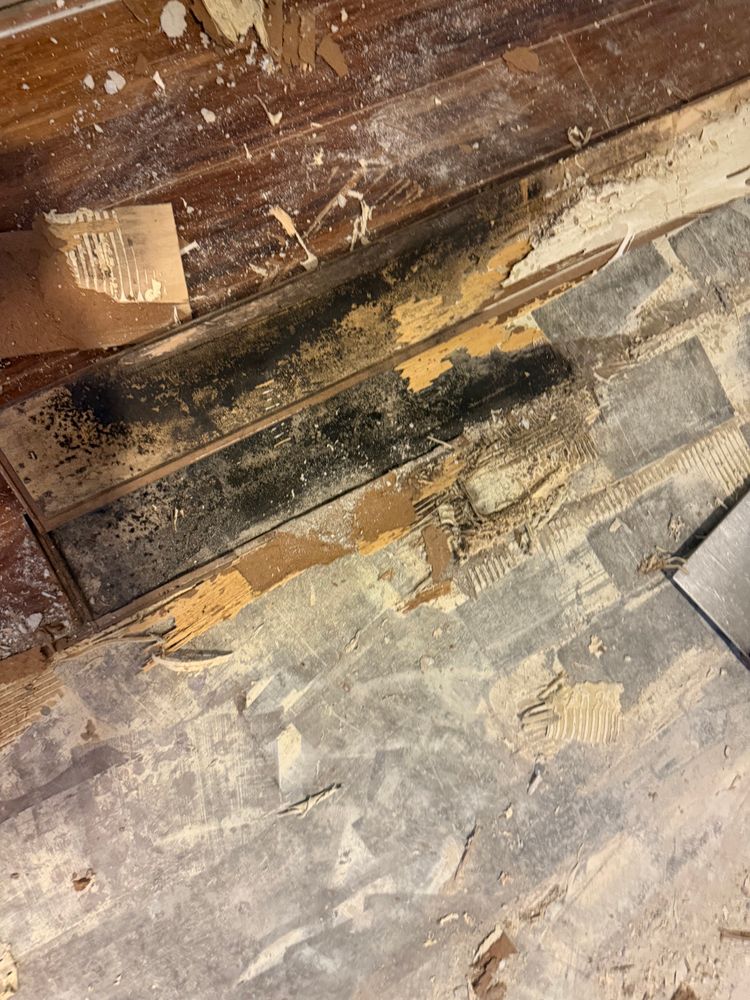 All Photos for N&D Restoration Services When Disaster Attacks, We Come In in Cape Coral,  FL