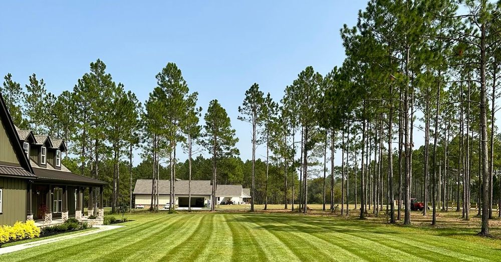 Our Lawn Aeration service improves soil structure, encourages healthy root growth, and enhances water absorption for greener, lusher grass. Let us boost your lawn's health and appearance today! for Deep South Lawn Care in Moultrie, GA