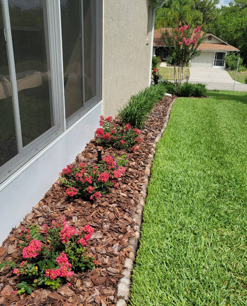 All Photos for Perfect Cut Lawn & Tree Care in Citrus Springs, FL