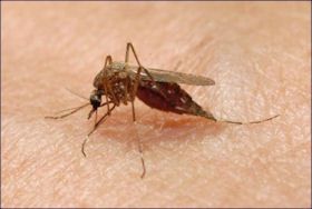 All Photos for Stonecreek Solutions in Sulphur Springs, TX