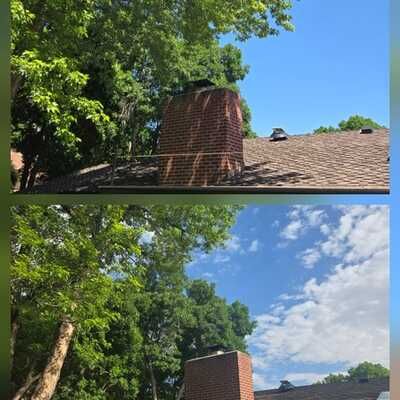 Enhance your home's safety and beauty with our professional tree trimming service, ensuring healthy growth, improved sunlight exposure, and reduced risk of falling branches to protect your property. for Family Tree & Landscape LLC in Aurora, CO