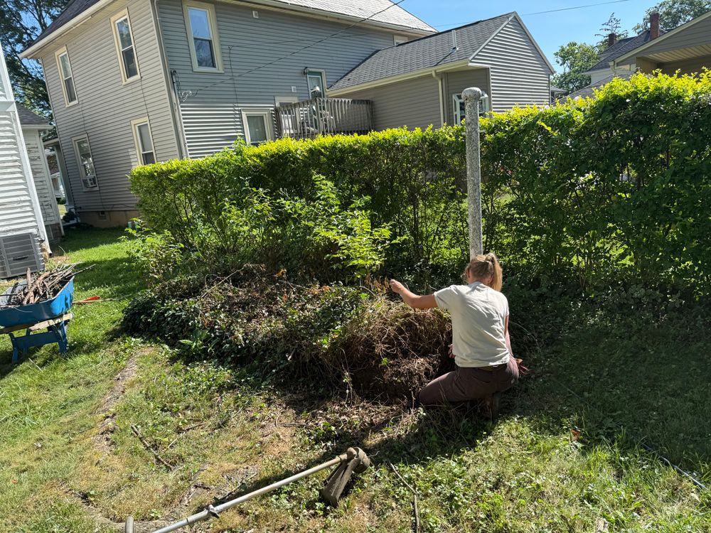 All Photos for F&R Landscapes LLC in Lagrange, OH