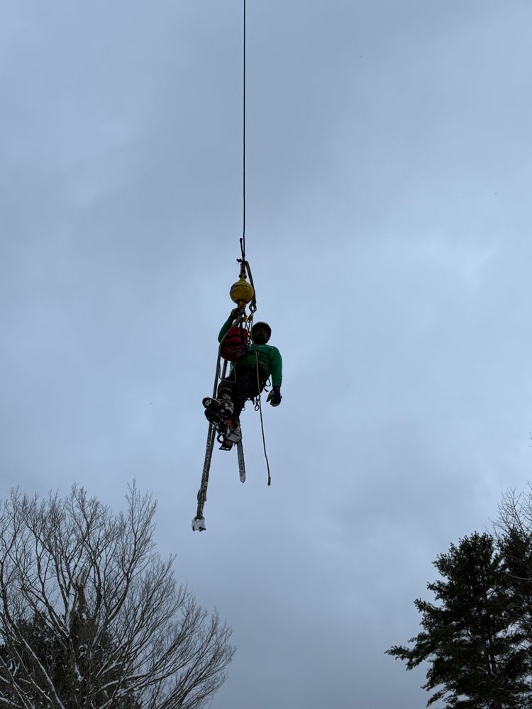 All Photos for Clifford’s Quality Tree Care & Landscaping in Enfield, NH