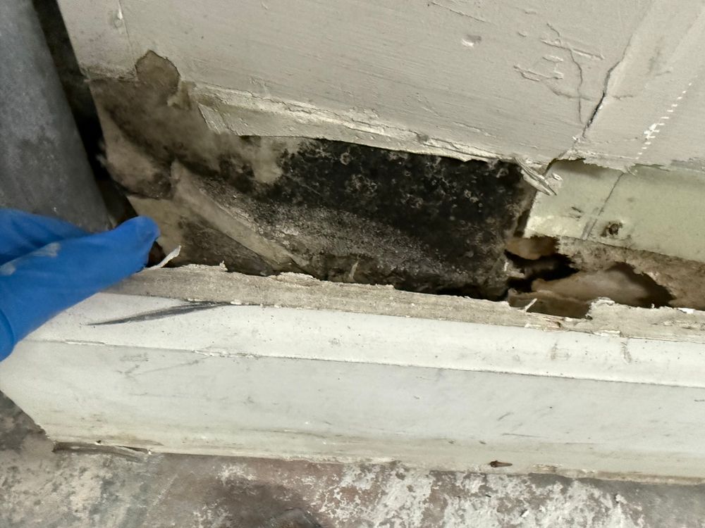 All Photos for N&D Restoration Services: When Disaster Strikes, We Come In in Cape Coral,  FL