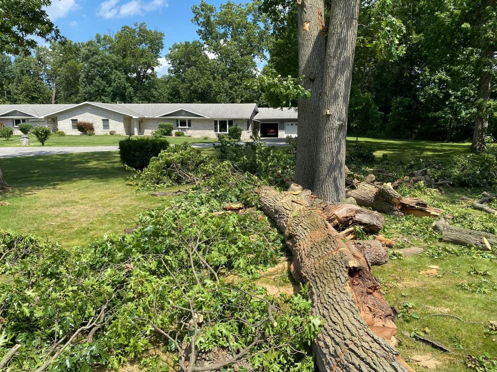 Emergency Storm Work for Highborn Tree Service in Wheatfield, IN