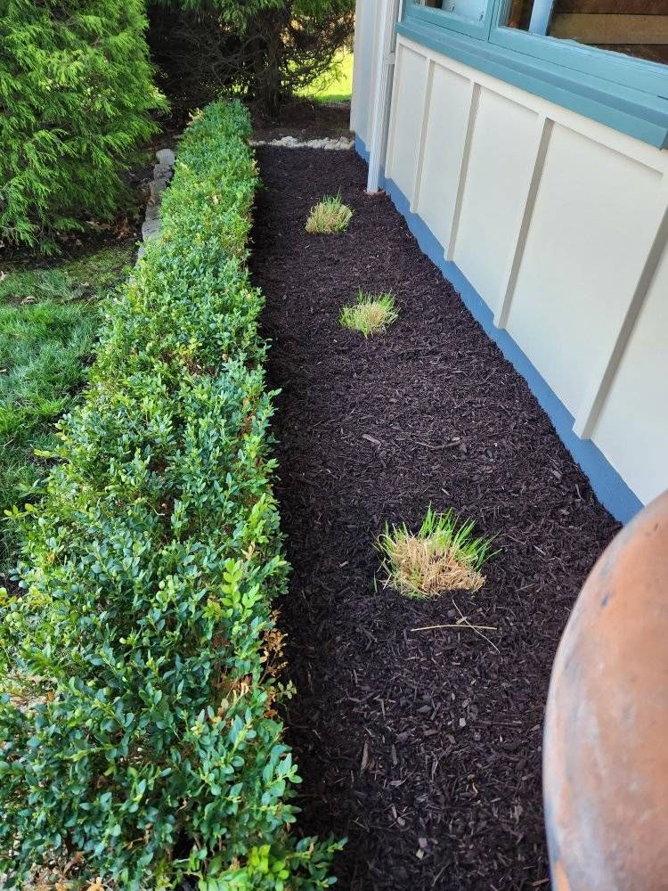 Our professional mulch installation service provides a beautiful and functional solution to enhance your landscape by adding a layer of organic material that helps retain moisture, control weeds, and improve soil health. for All Blades Lawn Service in Pittsburgh, PA