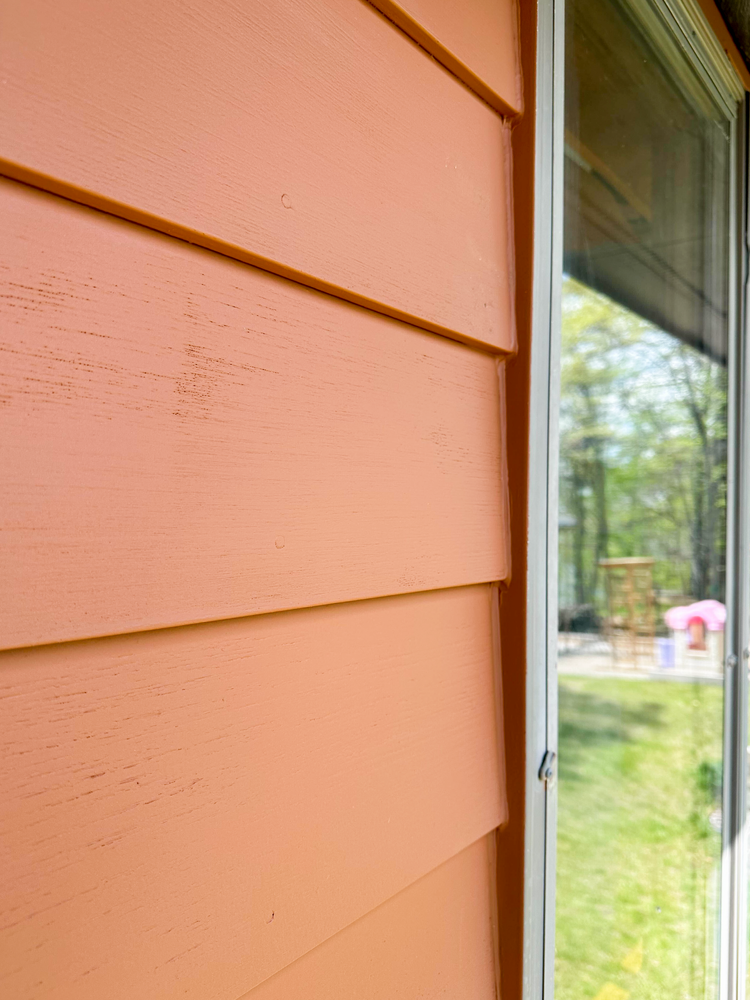 All Photos for Mr. Mole's Painting in Bemidji, MN