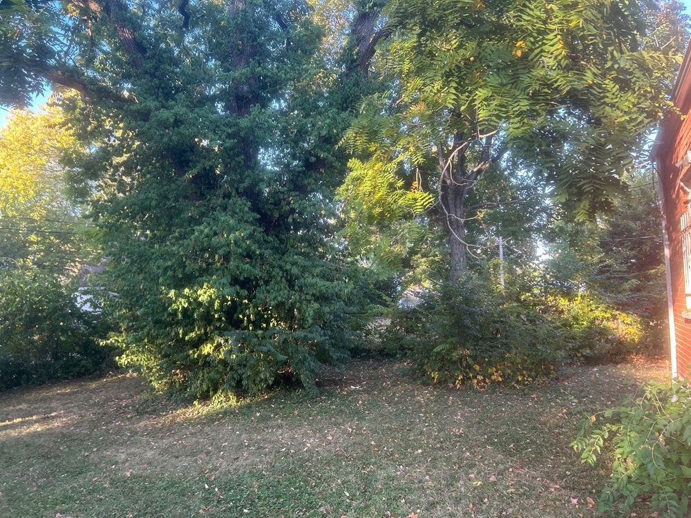 All Photos for High Garden Landscapes in Dayton, OH