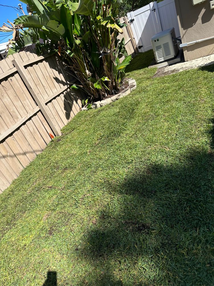 All Photos for Gulf Bay Sod in Clearwater, FL