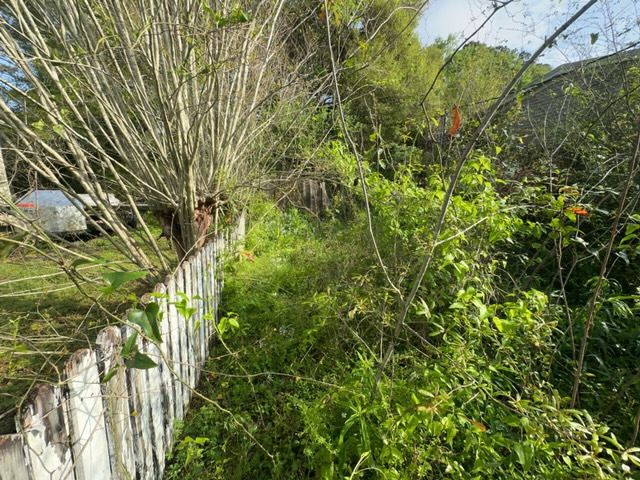 Tree Cleanup  for D&D Services of Pensacola in Pensacola, FL