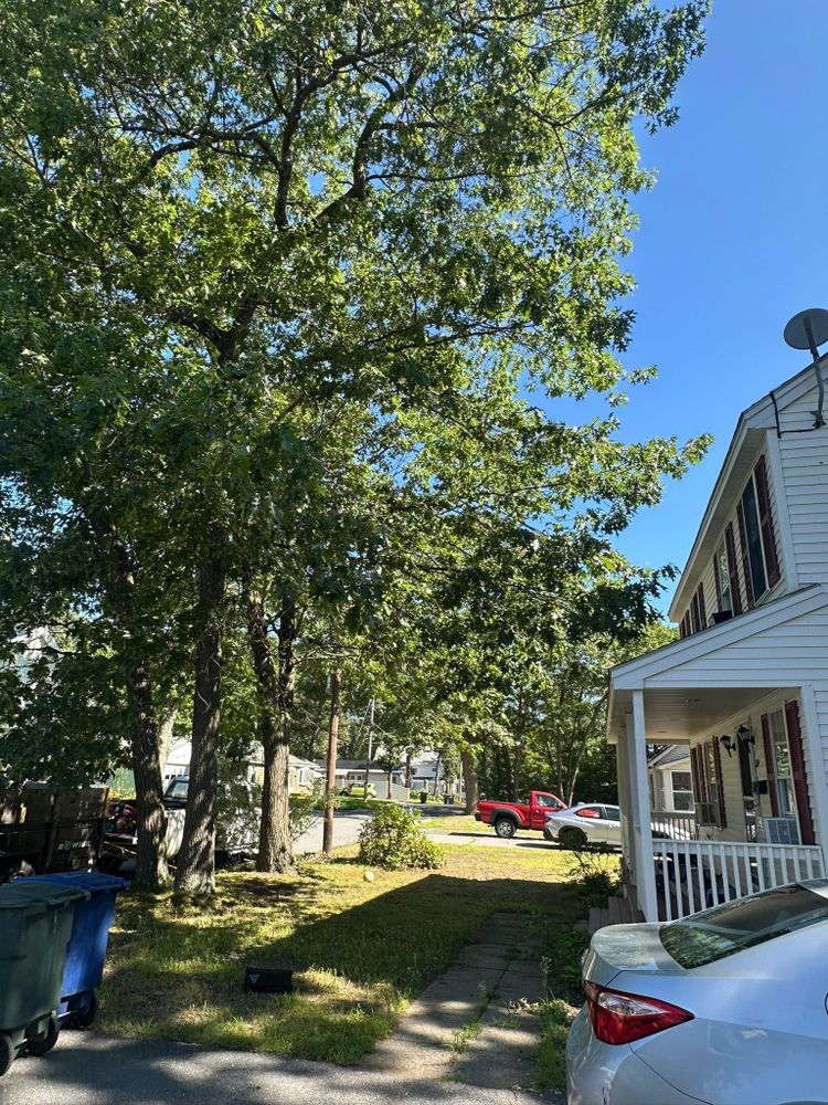 All Photos for Leaf and Limb in Townsend, MA