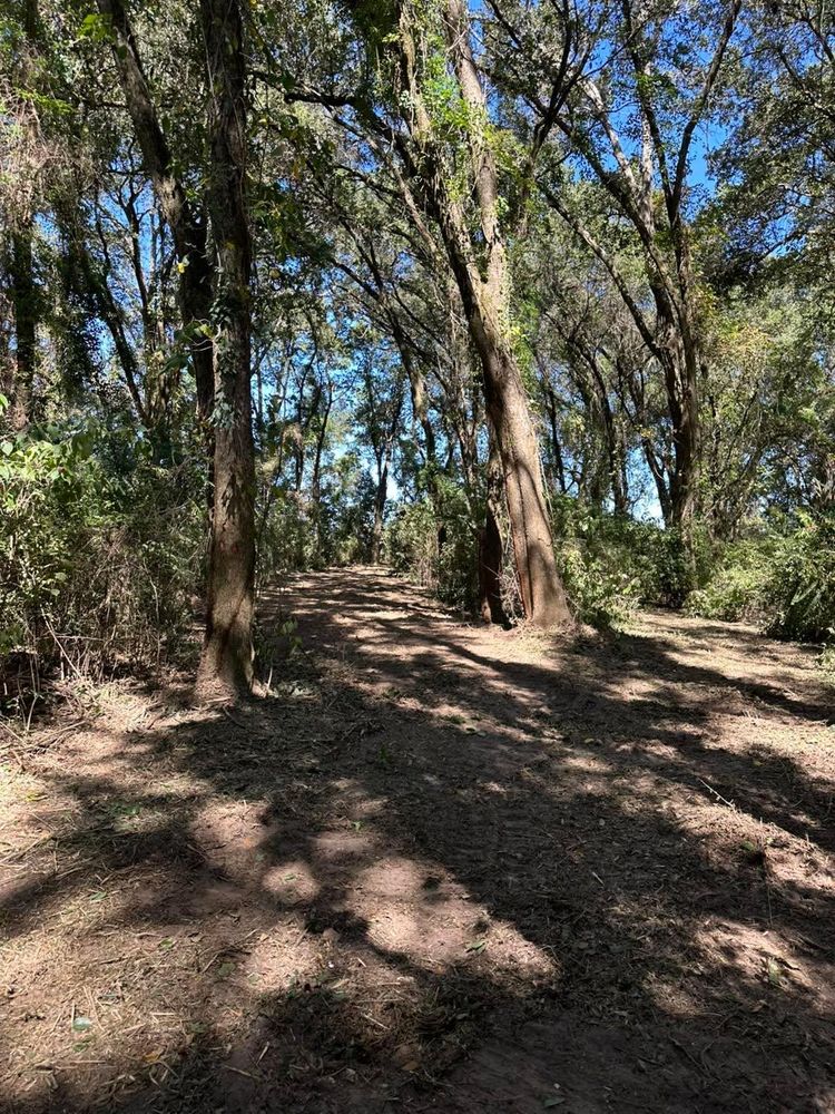 All Photos for White’s Land Maintenance in Milton,, FL