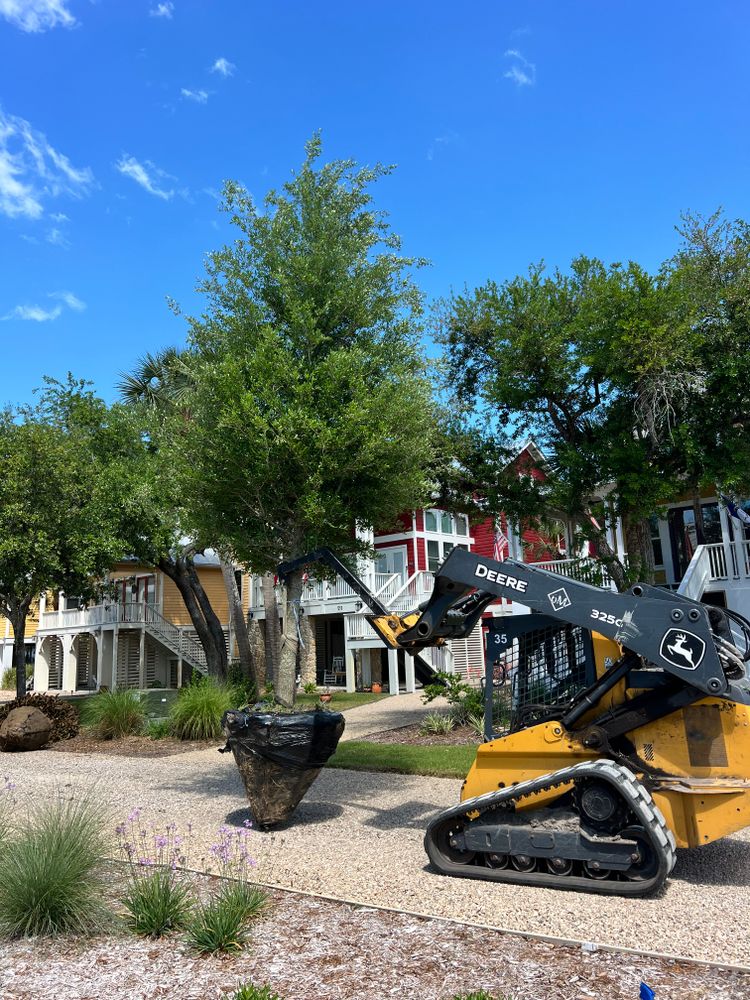 All Photos for Roberts Lawn & Landscape in Steinhatchee, FL