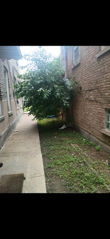 All Photos for Superior Lawn Care & Snow Removal LLC  in Chicago, IL