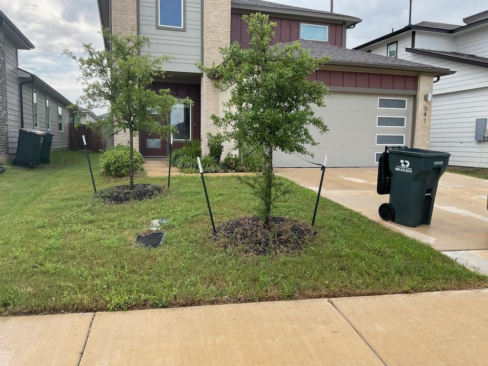 All Photos for Oviedo Land & Garden in Bastrop, TX