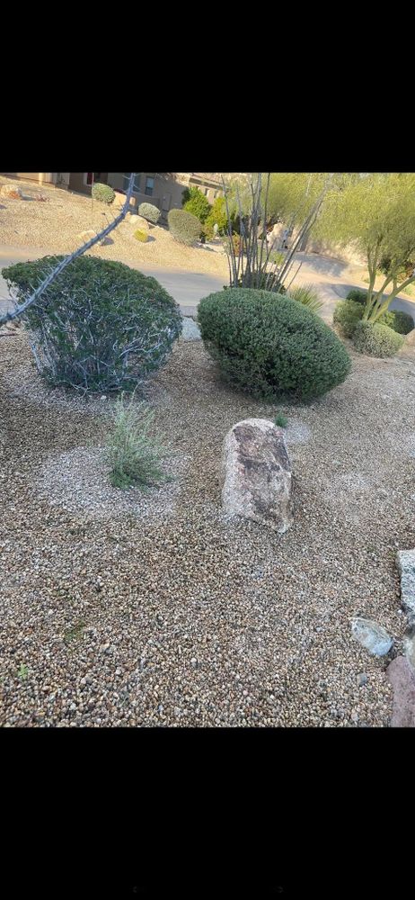 Enhance your home's curb appeal with our professional shrub trimming service, ensuring perfectly shaped, healthy bushes that beautify your landscape and maintain plant health throughout the changing seasons. for Vaquero X Landscape LLC in Queen Creek, AZ