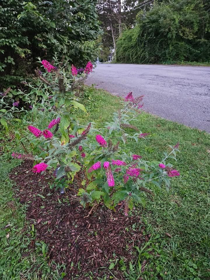 All Photos for Ardisi Landscaping & Design in Poughkeepsie, NY 