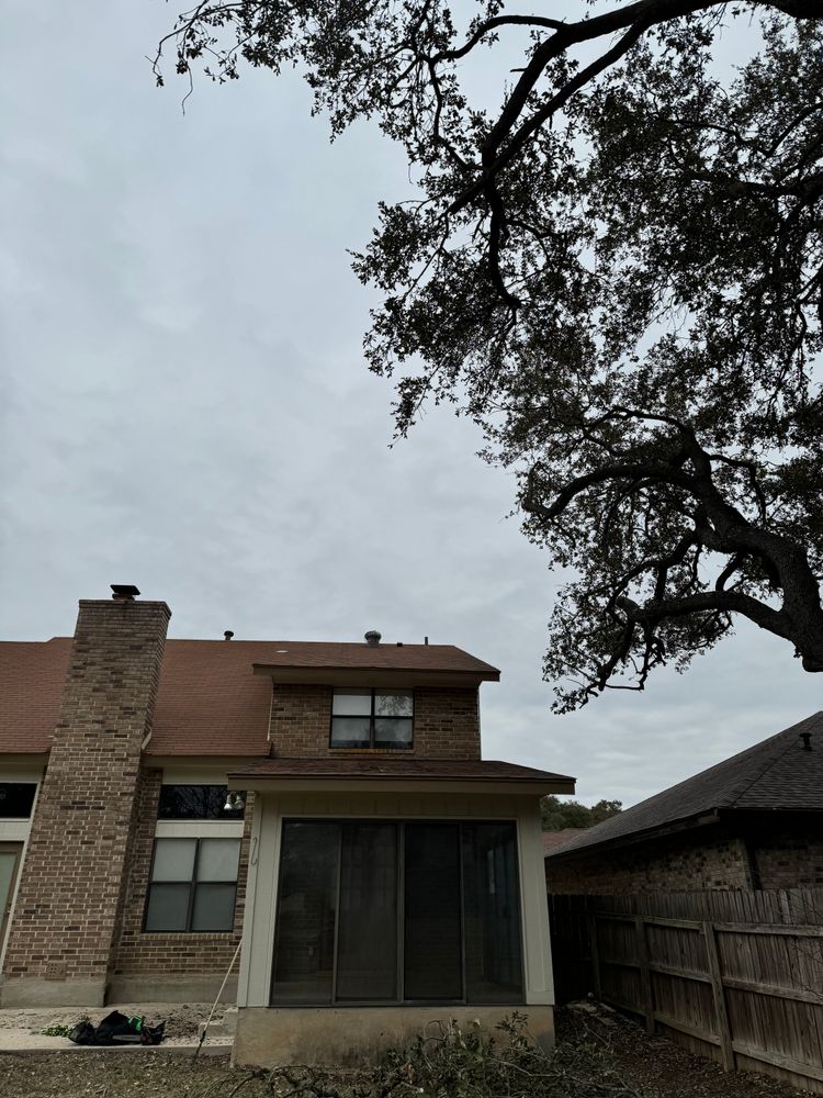 All Photos for Z’s Trees LLC in Grey Forest, TX