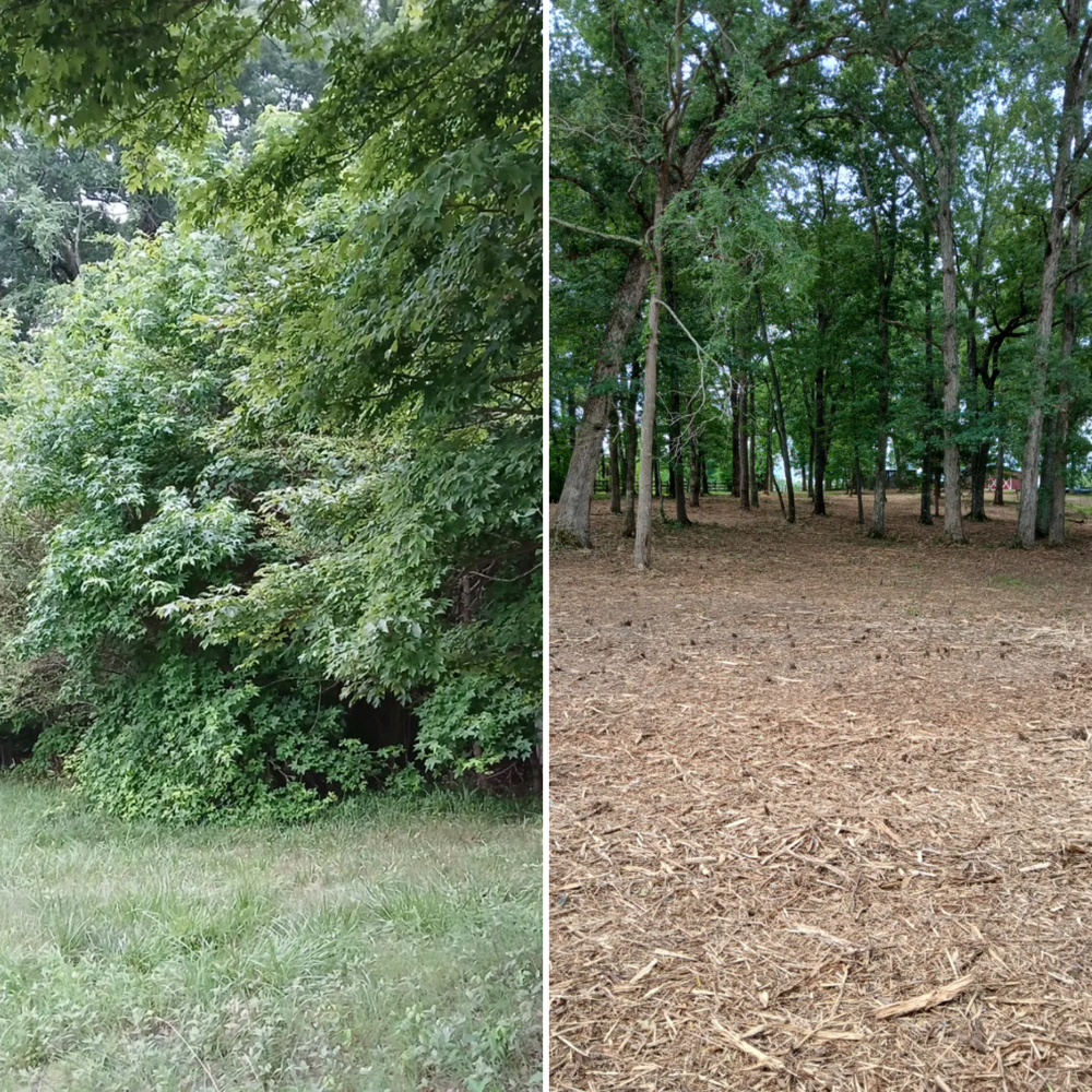 All Photos for Whiskey Ridge Mulching & Land Services in South Boston, VA