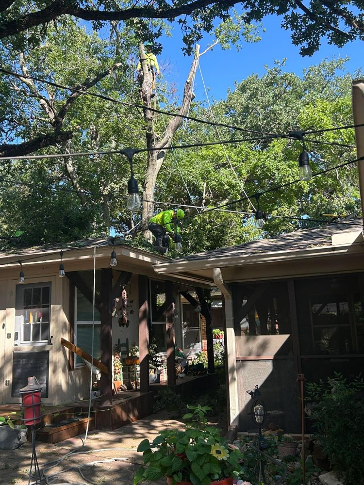 All Photos for Teague Trees and Land Clearing in Rendon, TX