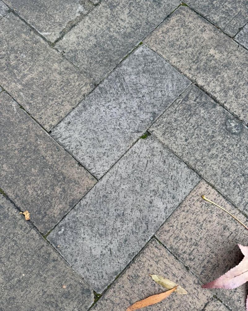 House and Roof Softwash for Oakland Power Washing in Clarksville, TN