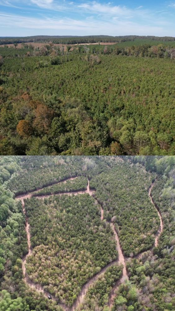 All Photos for KLNAX Enterprises in Newton County, GA