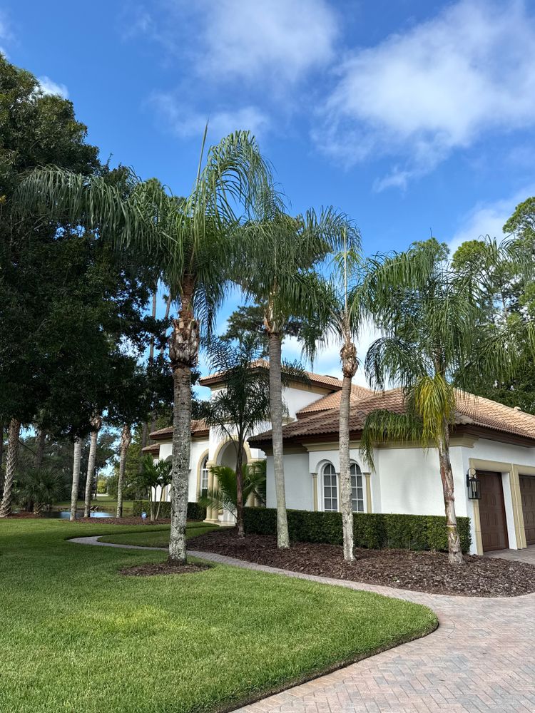 All Photos for Amerigrown Tree And Lawn in Apopka, FL