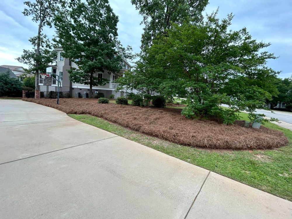 All Photos for Trophy Outdoor Solutions in Lexington, SC