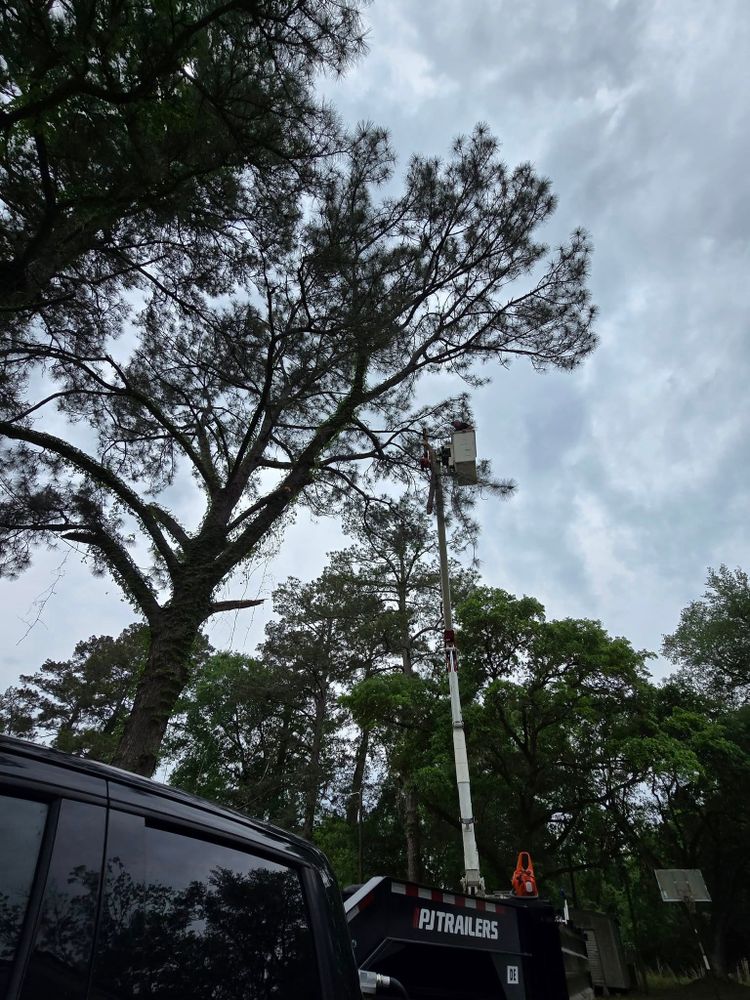 Our Commercial Tree Services ensure safe, professional care for trees on your property, enhancing aesthetics and health while preventing potential hazards. Trust our expertise to maintain a beautiful and secure landscape. for Breaktime Tree Trimming & Removal in Oakdale, LA