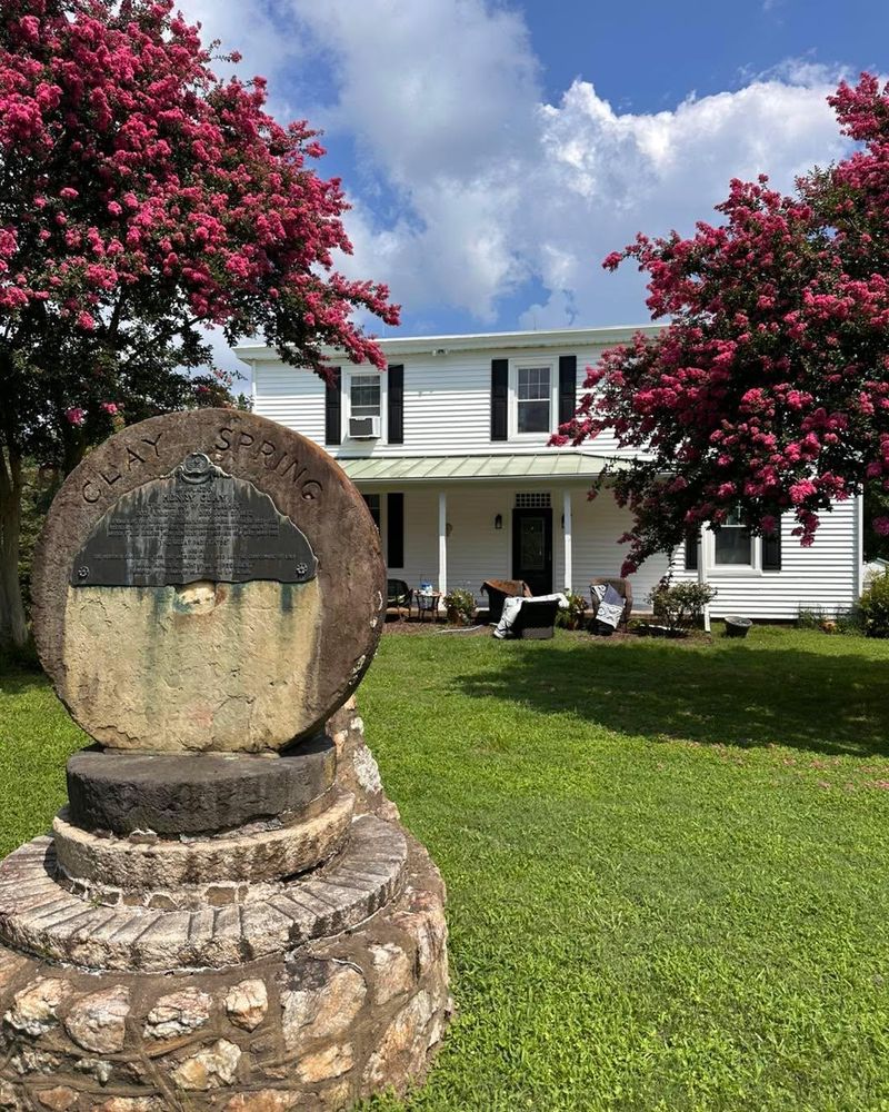 All Photos for LeafTide Solutions in Richmond, VA