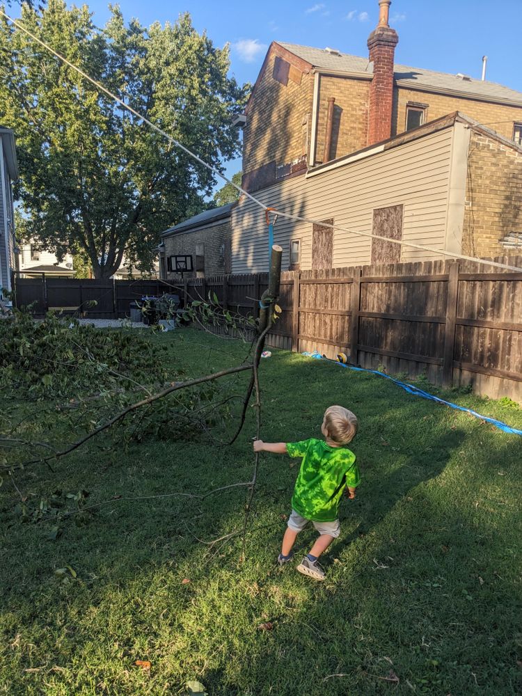 All Photos for Houtz Tree Service in Lexington, KY