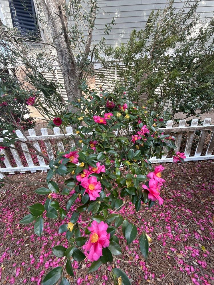 All Photos for Pawleys Island Concierge LLC in Pawleys Island, SC