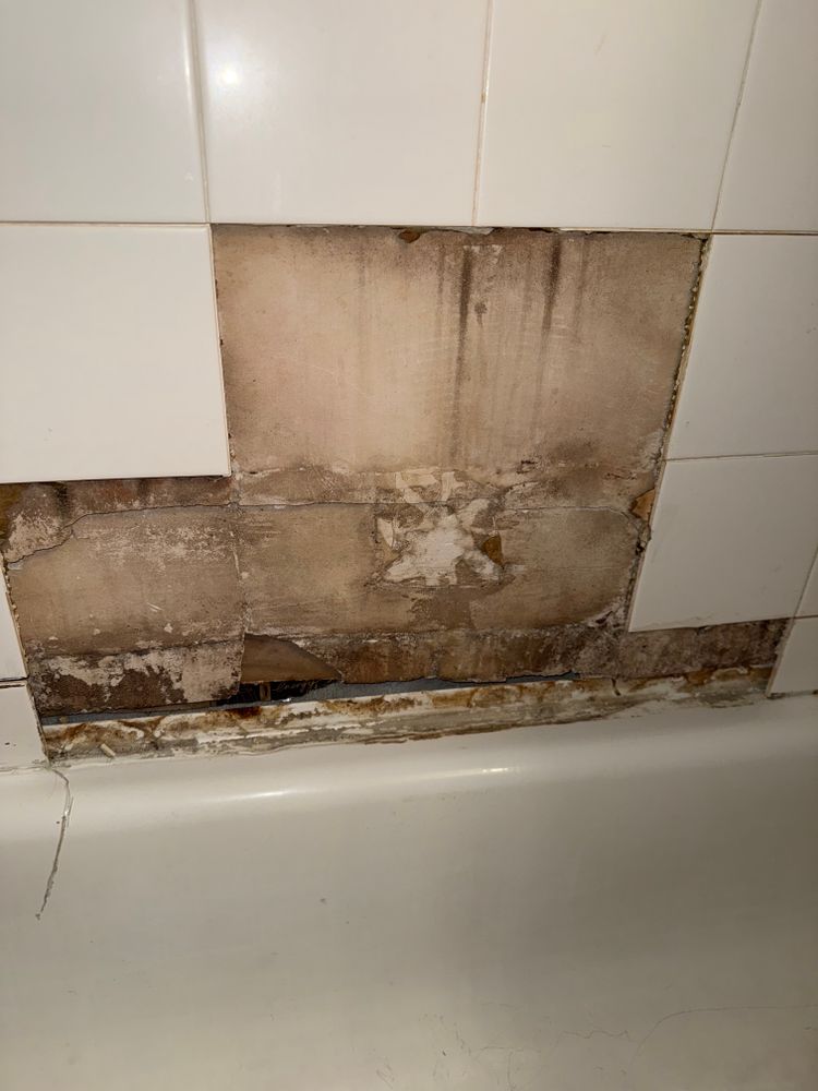 All Photos for N&D Restoration Services When Disaster Attacks, We Come In in Cape Coral,  FL