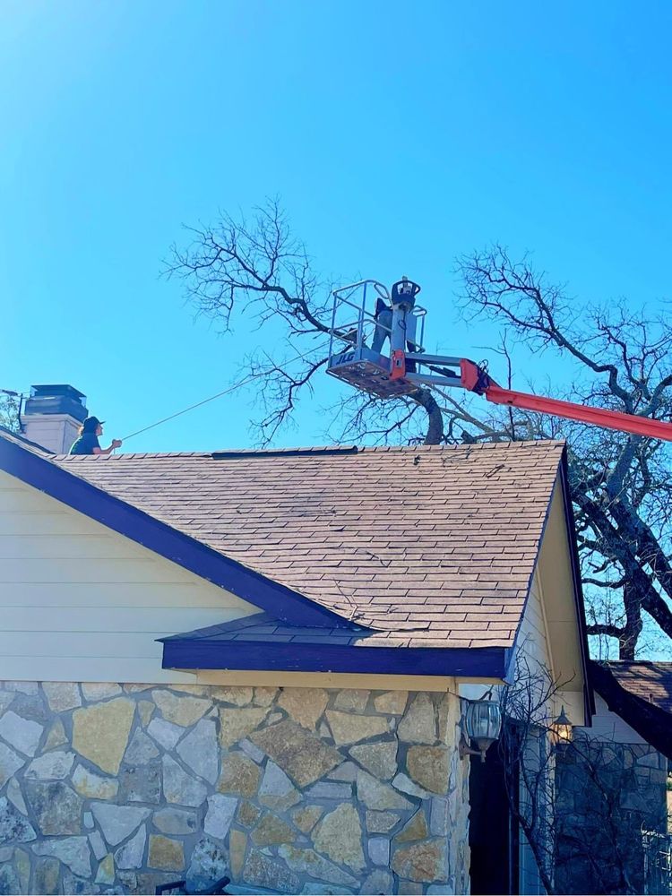 Tree Removal for Superior Lawn and Tree LLC in Clifton, TX