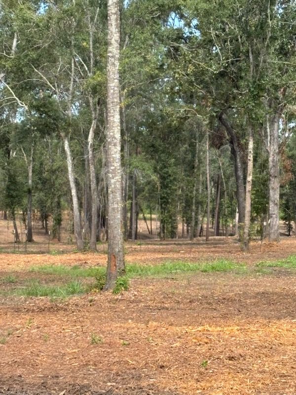 All Photos for JM Services in Woodville, TX