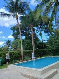 All Photos for ASAP Tree Service in Sebastian, FL