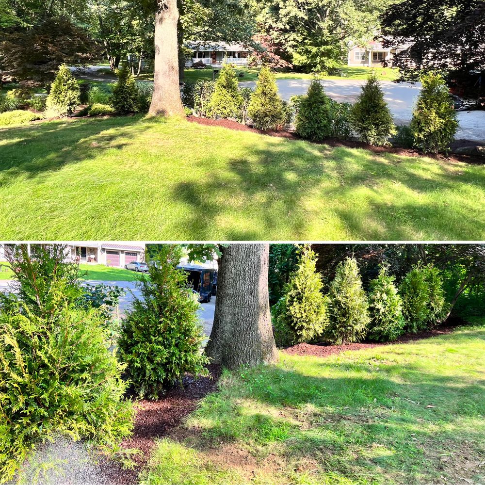 Landscaping for LJ Lawn & Property Maintenance, Inc. in Cold Spring, New York