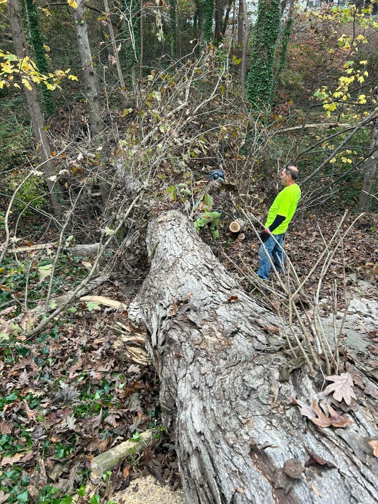 All Photos for Oakhurst Landscaping and Tree Service in Charlotte, NC