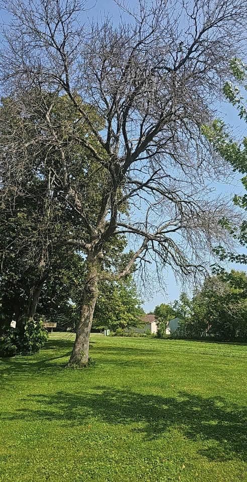 All Photos for Big River lawn Care services and snow LLC in Wausau, WI