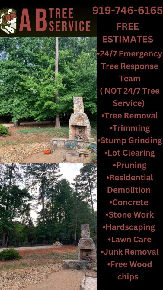 All Photos for AB Tree Service in Raleigh, NC