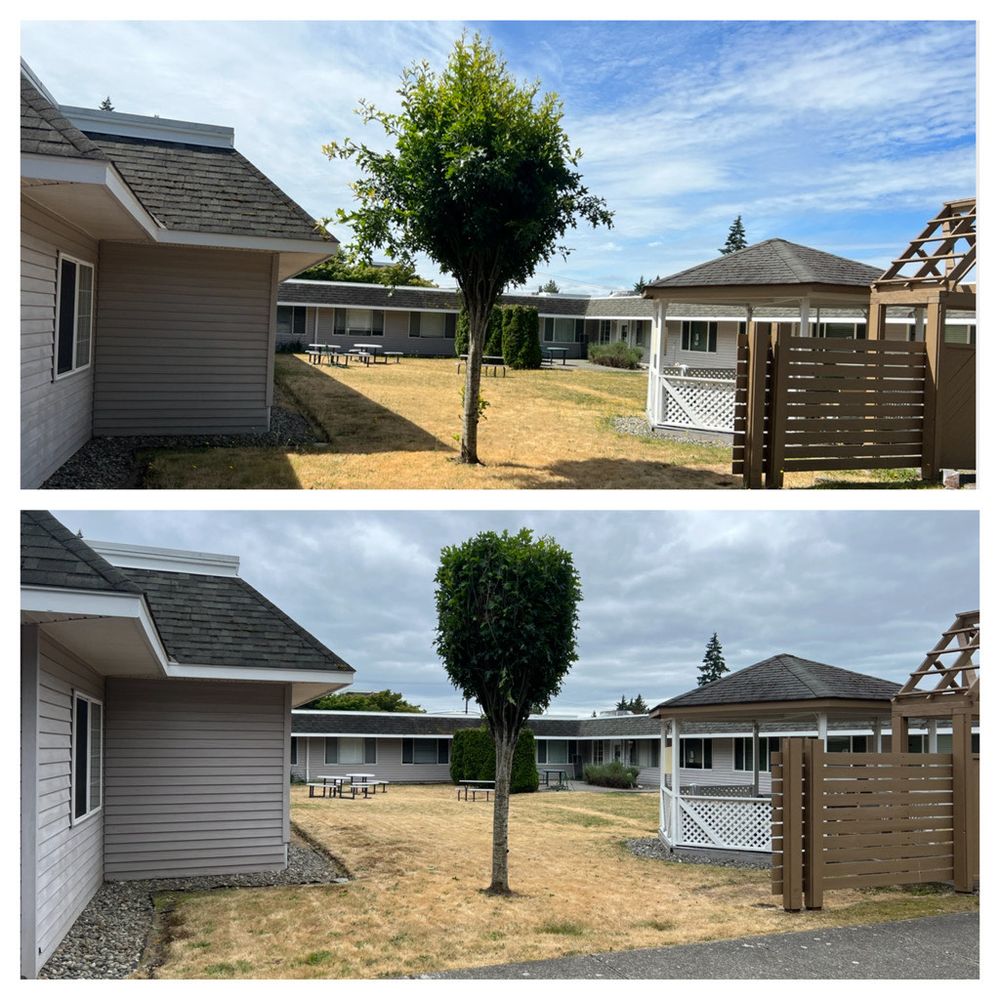 All Photos for Hall of Fame Landscaping in Bremerton, WA