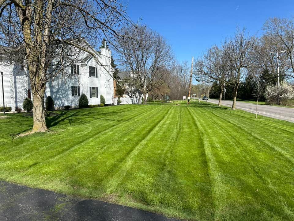 Residential & Commercial Lawn Rolling, Care and Maintenance for Hauser's Complete Care INC in Depew, NY