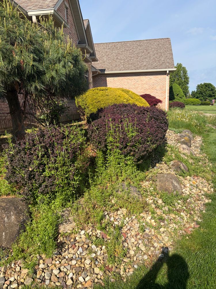 Natural Stone Hardscape for Youngstown Lawn & Patio Design in Canfield, OH