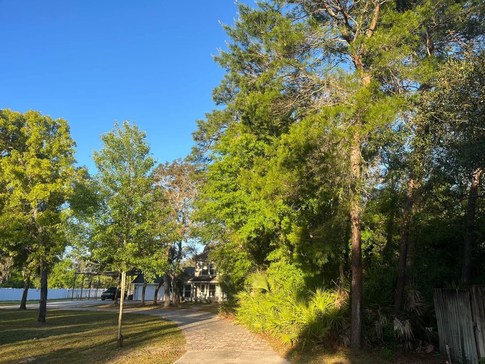 All Photos for Tomoka Site Works in Ormond Beach, FL