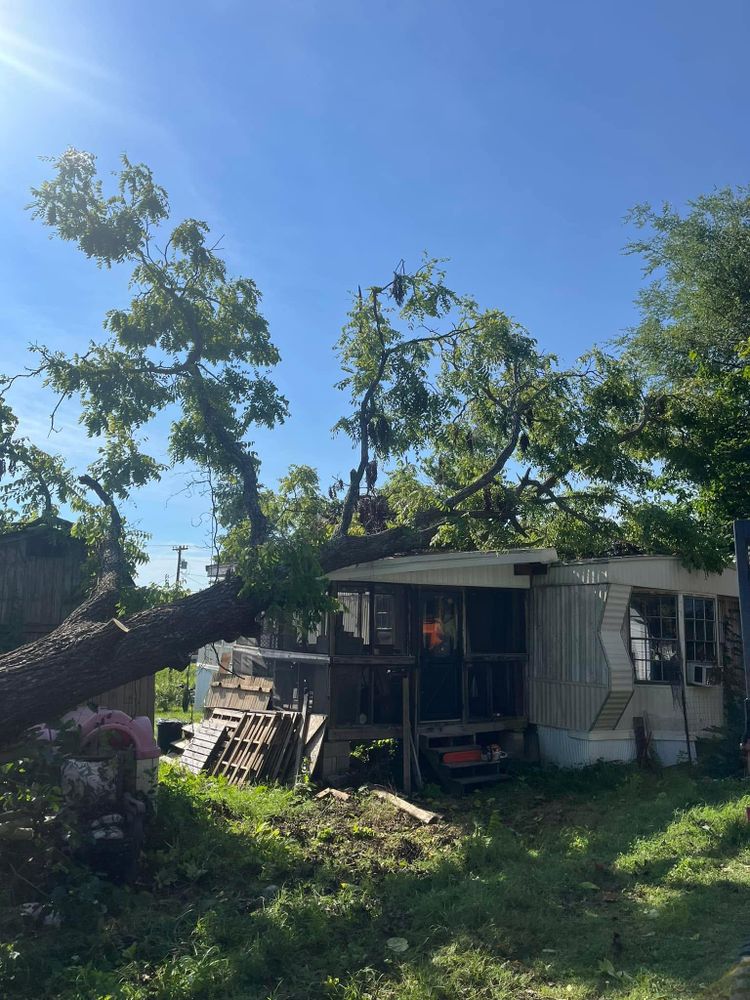 All Photos for Curtis Tree Service LLC in Hopkins County, KY