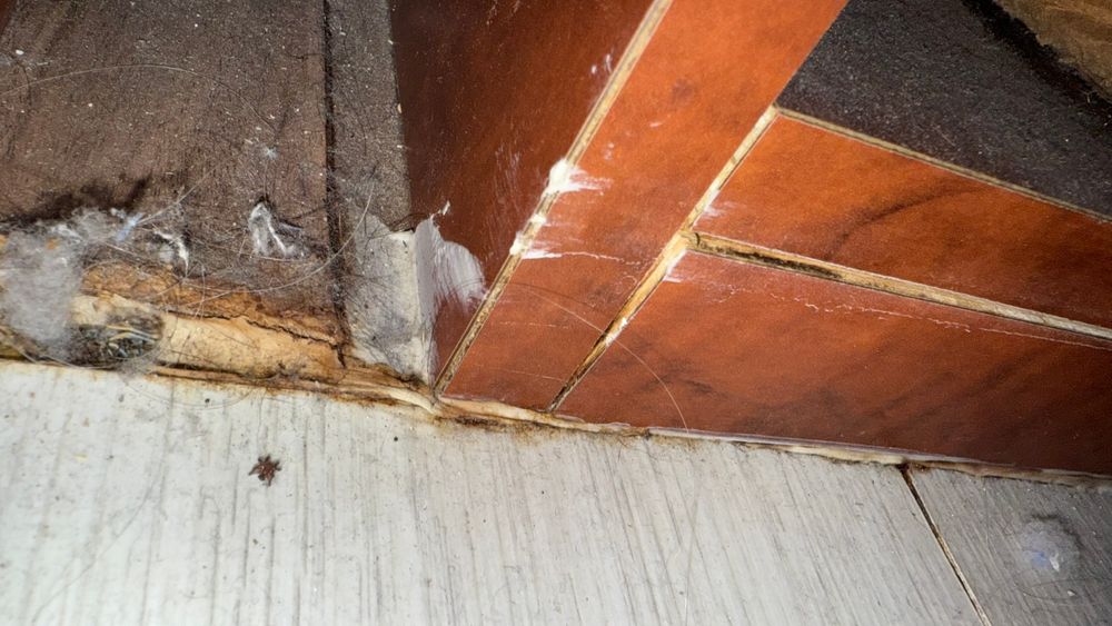 All Photos for Surplus Public Adjusters in Miami-Dade County, FL