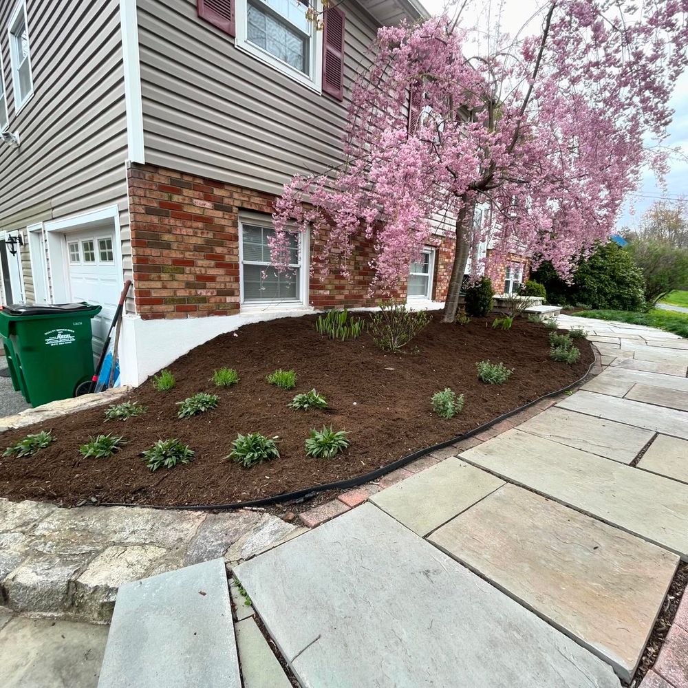 Before & After for Ardisi Landscaping & Design in Poughkeepsie, NY 