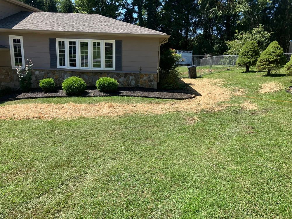 Excavating for Genesis Landworks in Bluff City, TN